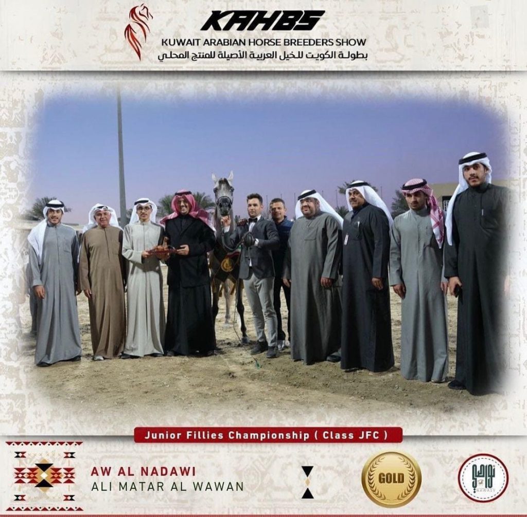 Competición Kuwait - Fuengo Arabian