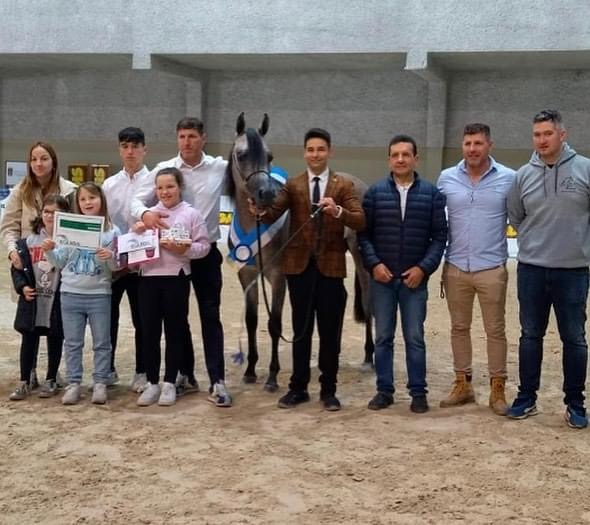 Competiciones Fuengo Arabian Show Training