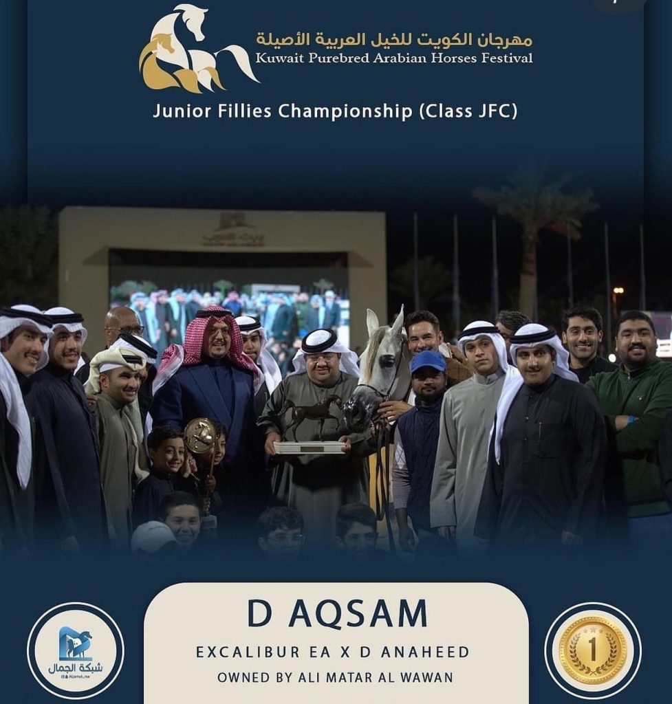 Equipo Ali Matar Al Wawan - Fuengo Arabian