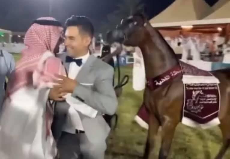 Fuengo Arabian - Contacto caballo árabe