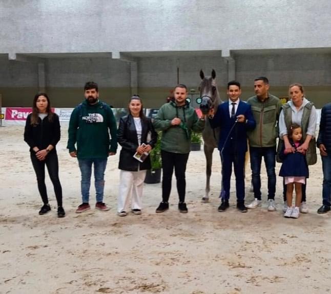 Premiaciones Fuengo Arabian Show Training