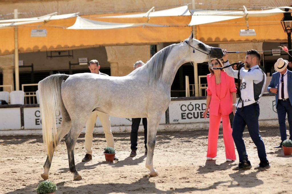 XLIV Campeonato Nacional de España 2024