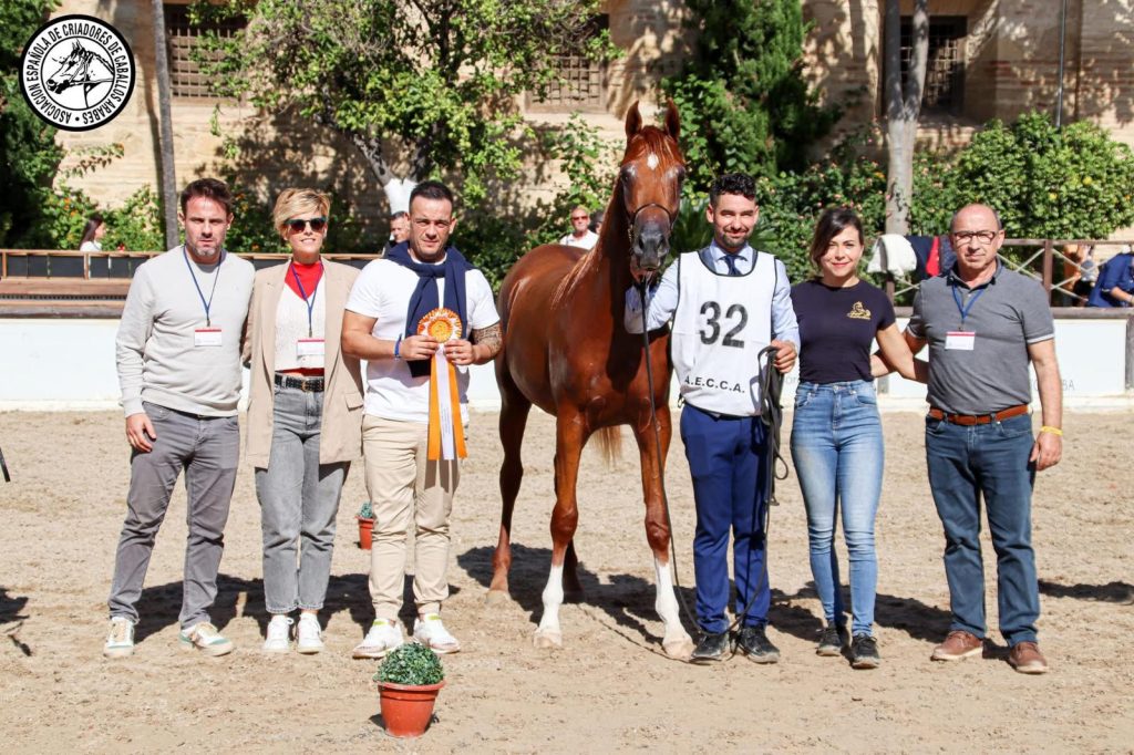XLIV Campeonato Nacional de España 2024